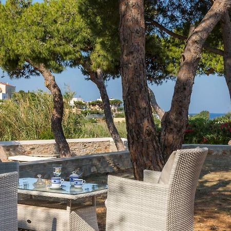 Вилла Dellagracia Mansion In Poseidonia Syros Posidhonia  Экстерьер фото