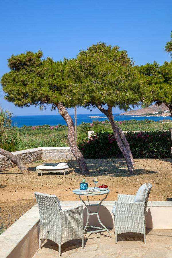Вилла Dellagracia Mansion In Poseidonia Syros Posidhonia  Экстерьер фото