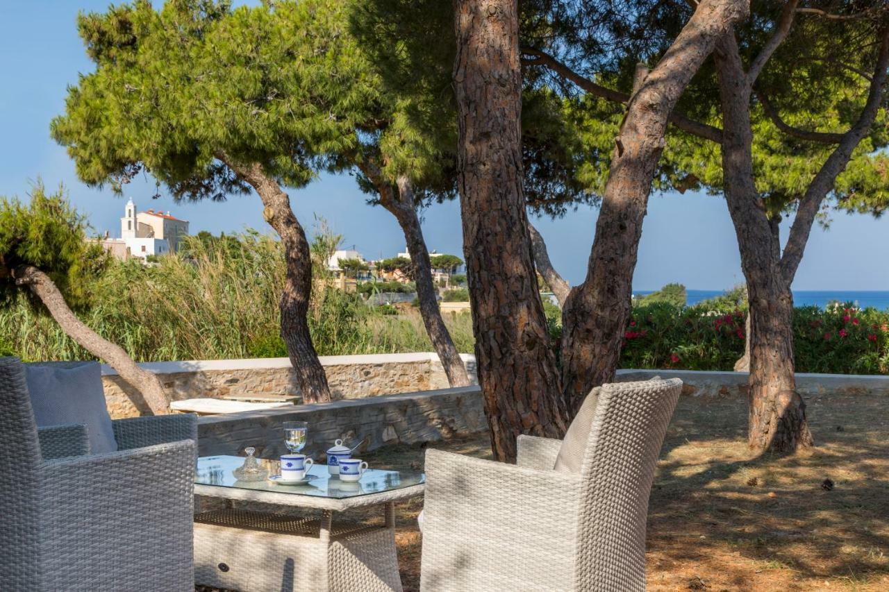 Вилла Dellagracia Mansion In Poseidonia Syros Posidhonia  Экстерьер фото
